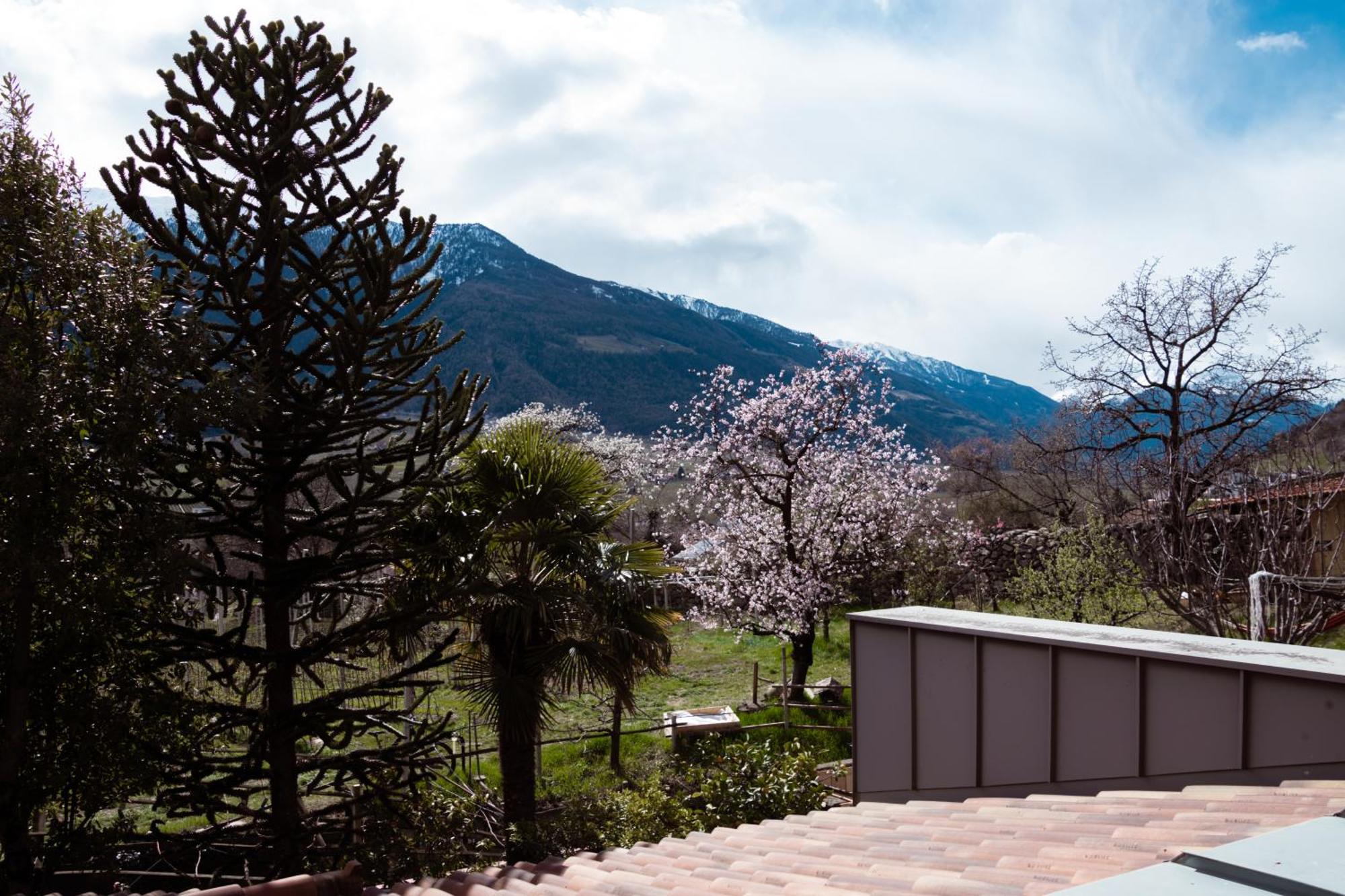 Garni Unterwegguetl Bed & Breakfast นาตูร์โน ภายนอก รูปภาพ