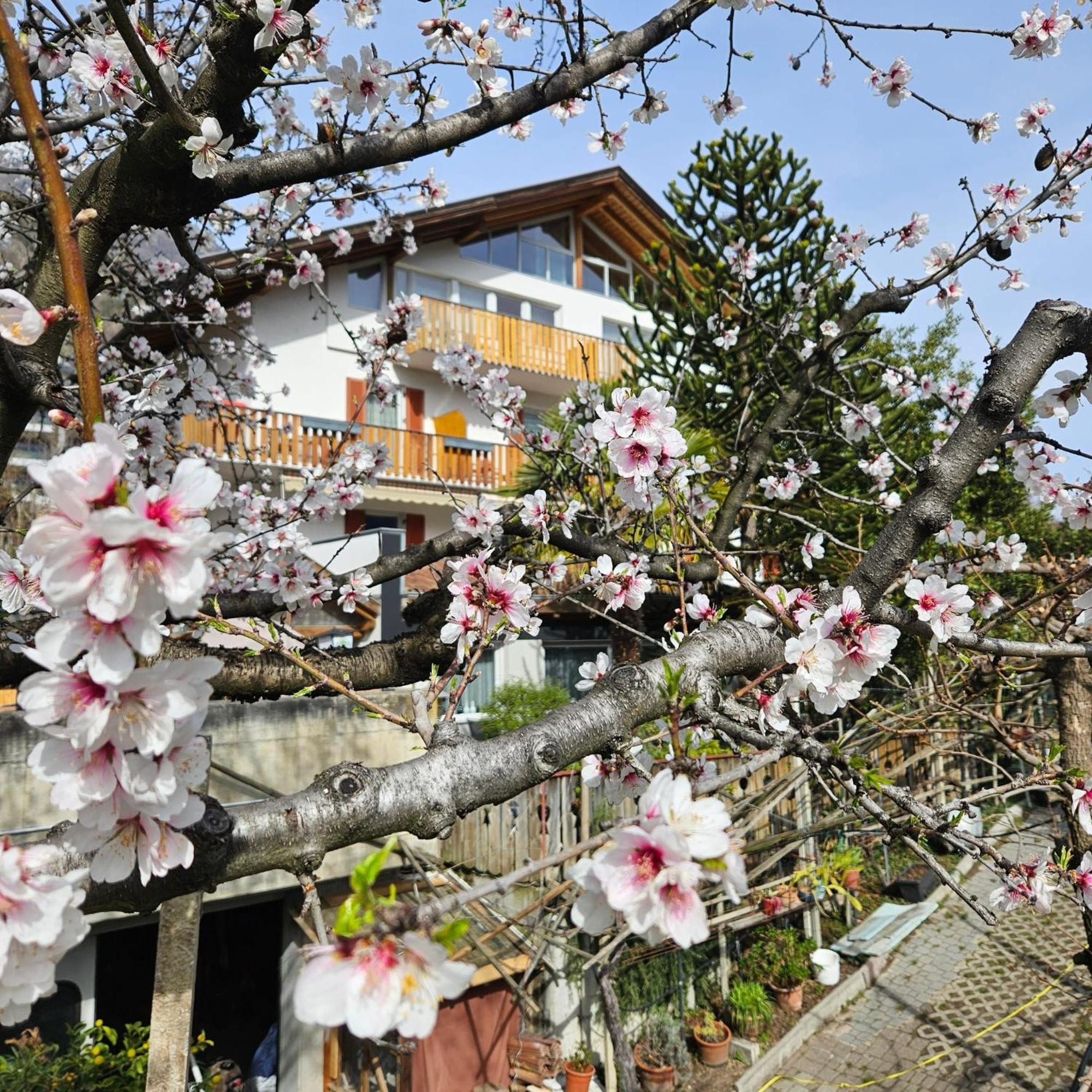 Garni Unterwegguetl Bed & Breakfast นาตูร์โน ภายนอก รูปภาพ